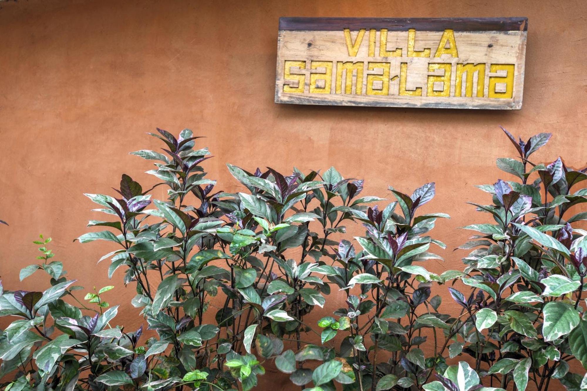 Villas Samalama Gili Air Exteriör bild