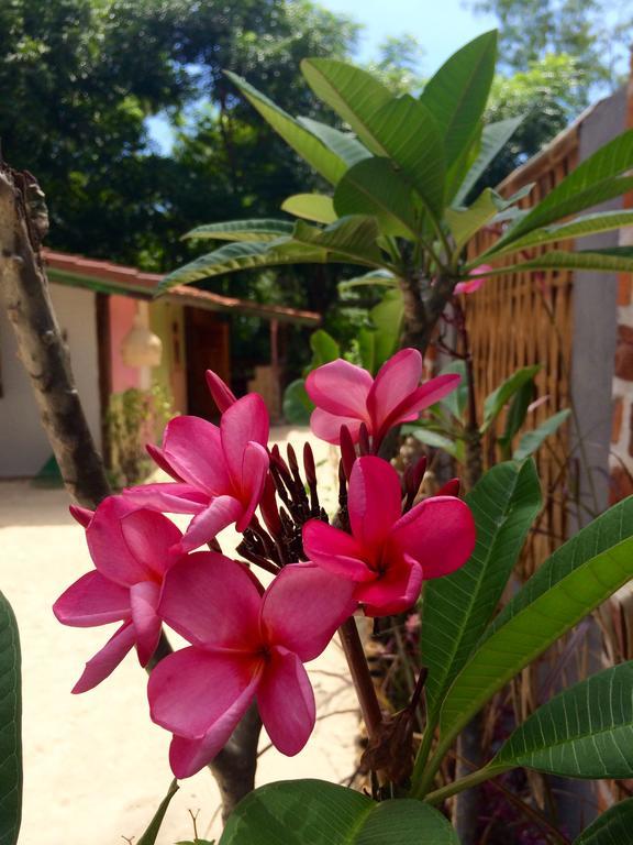 Villas Samalama Gili Air Exteriör bild